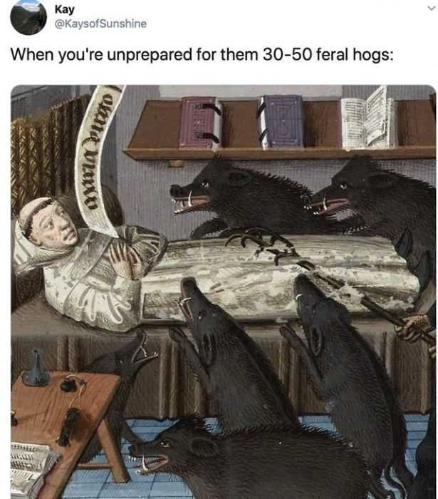 Art-Hogs-30 Art Hogs 30