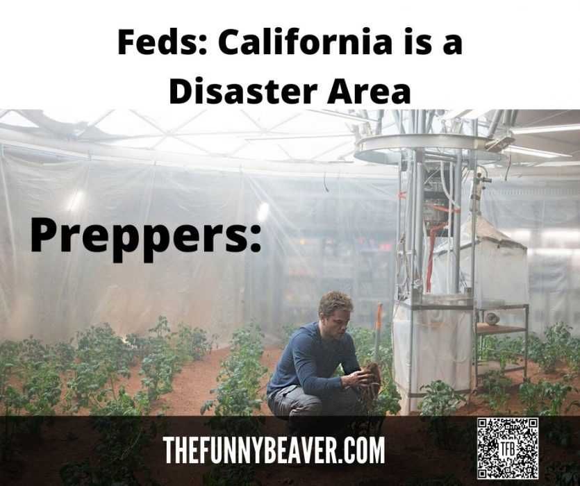 Preppers Grow Their Own Food During Lockdown Lockdown Memes Preppers Preparing To Grow Their Own Food