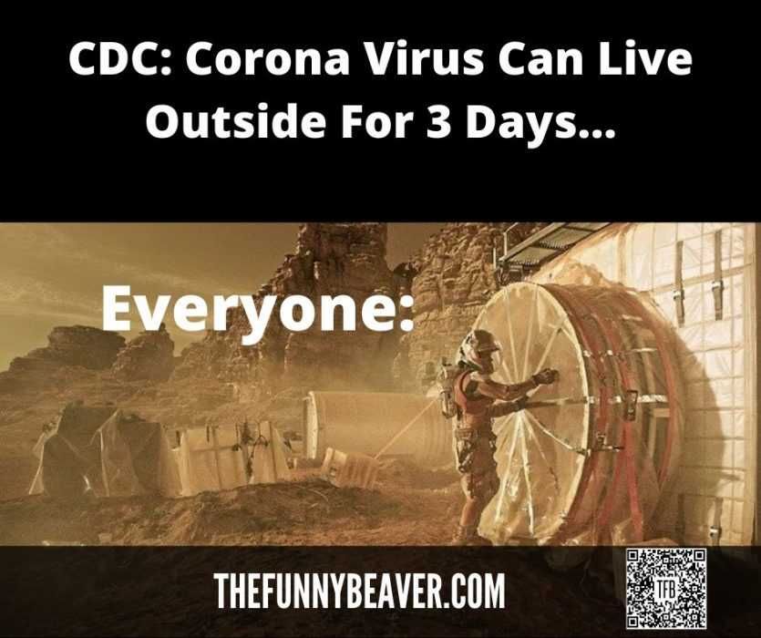 Sealing The Airlock To Protect From Corona Virus Lockdown Memes Protecting Your Home From Coronavirus