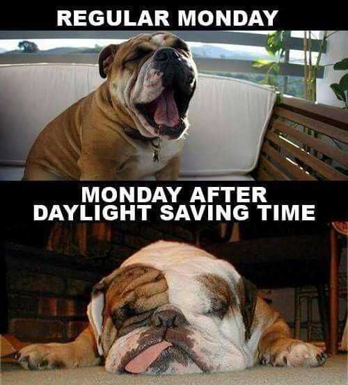 Day-Monday-After Day Monday After