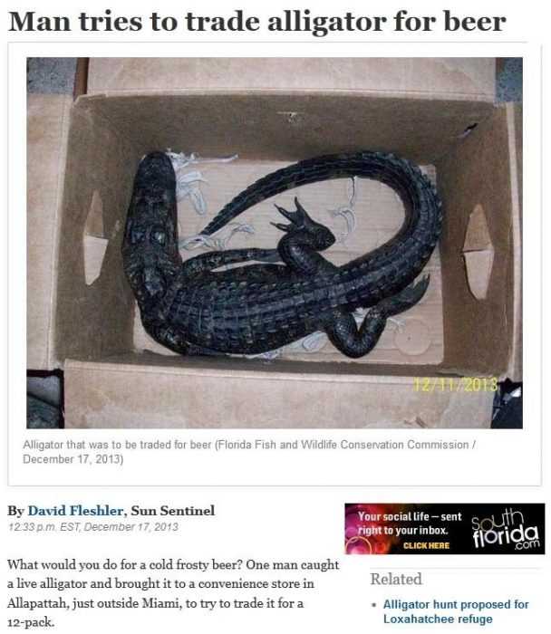 Florida Trades Gator