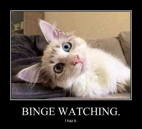 Funny-Bingewatching Funny Bingewatching