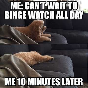 Funny-Cant-Wait Funny Cant Wait