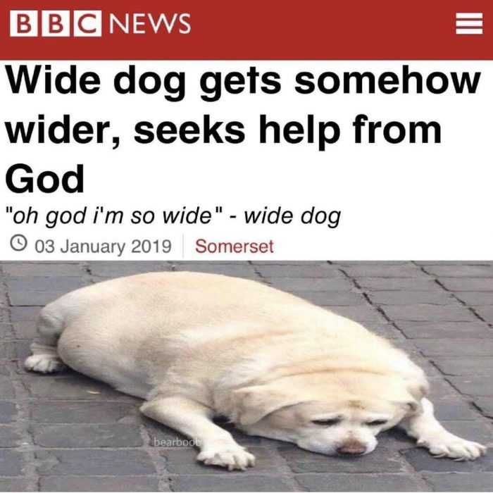 Funny-God-Wide Funny God Wide