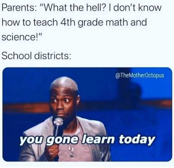 Funny-Gonna-Learn Funny Gonna Learn