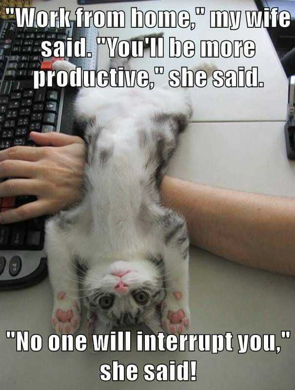 Funny-No-One-Interupt-You Funny No One Interupt You