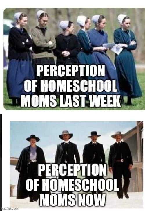 Funny-Perception-Mom Funny Perception Mom