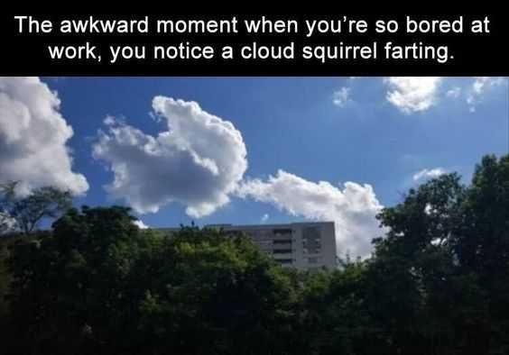 Funny-Squirrel-Cloud Funny Squirrel Cloud