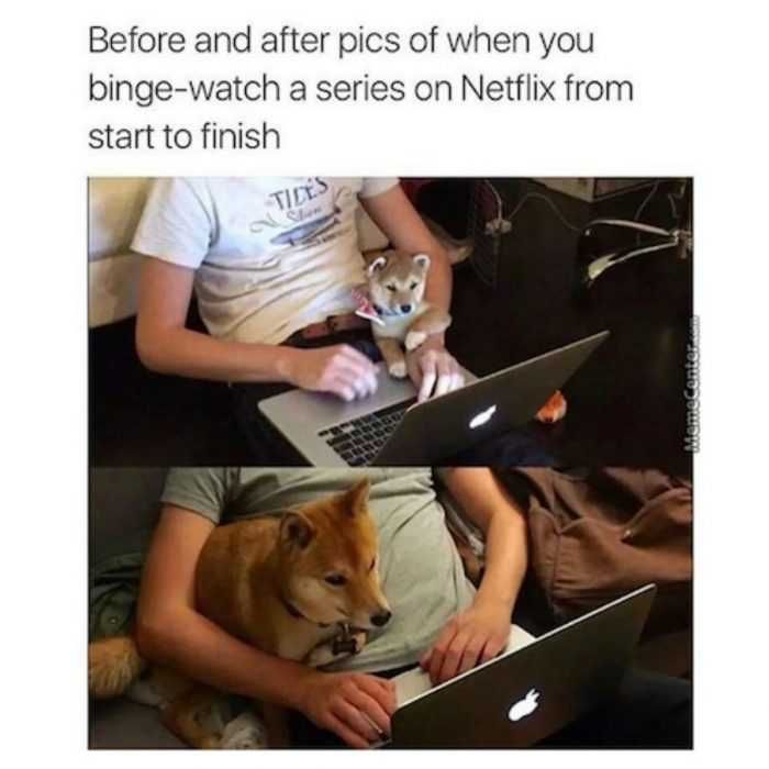 Funny-Start-To-Finish Funny Start To Finish