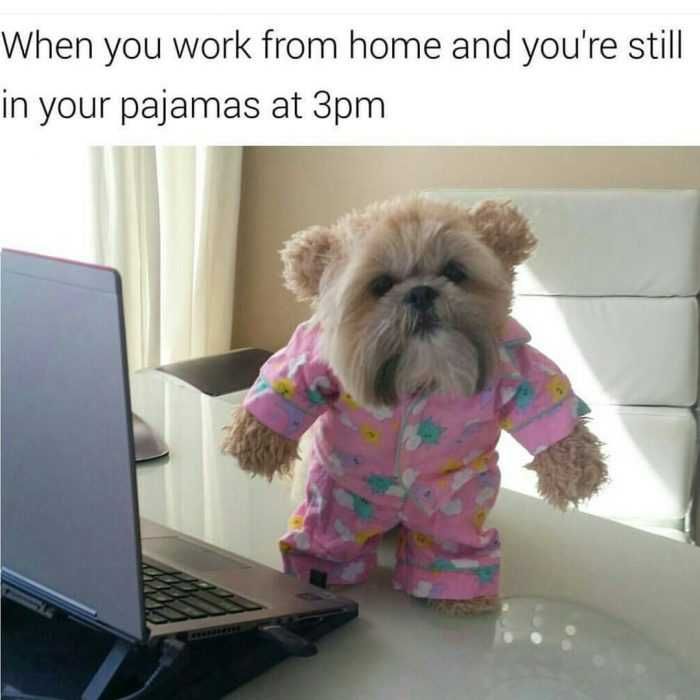 Funny-Still-In-Pjs Funny Still In Pjs