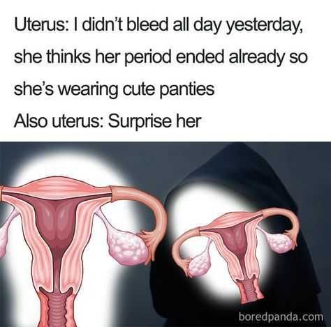 Funny-Surprise-Her Funny Surprise Her