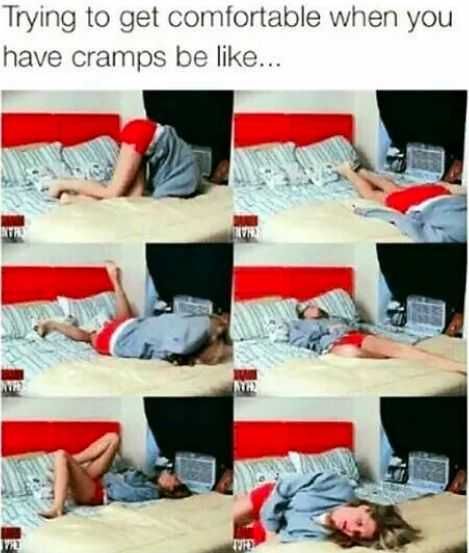Funny-Trying-To-Get-Comfy Funny Trying To Get Comfy