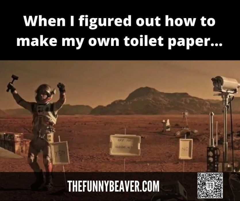 Diy Toilet Paper Success Lockdown Memes Celebrating Independence After Figuring Out How To Make Toilet Paper