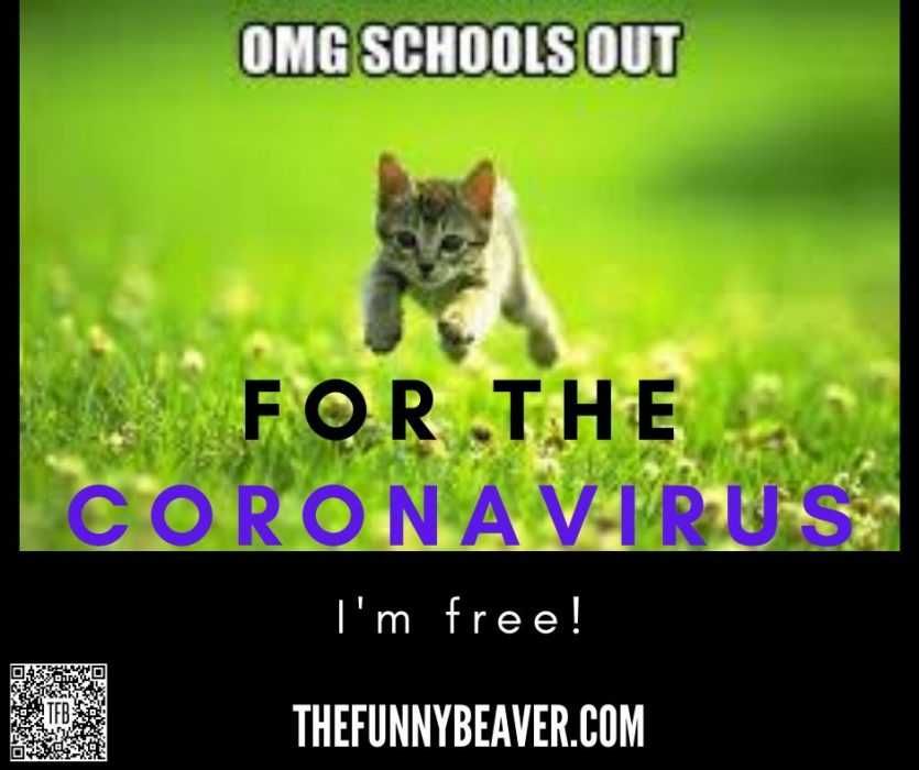 School-Canceled-For-The-Coronavirus Funny School Canceled For Coronavirus Memes Omg Schools Out