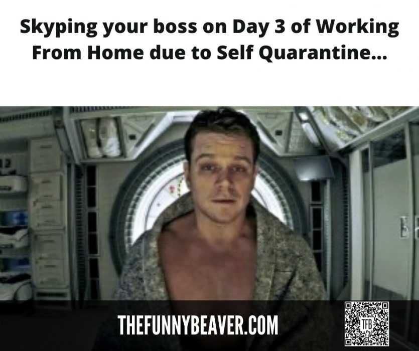 Skyping Your Boss Day 3 Lockdown Memes How You Look Skyping Your Boss After 3 Days Of Self Quarantine