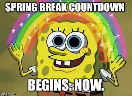 Spring-Begins-Now Spring Begins Now