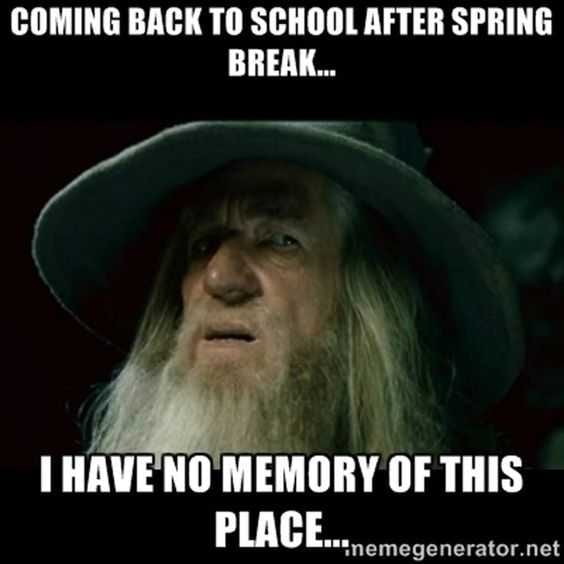 Spring-No-Memory Spring No Memory