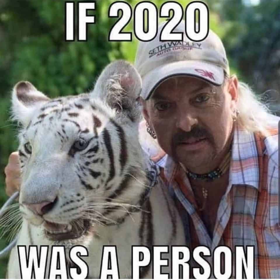 Tiger-2020 Tiger King Memes If 2020 Was A Person