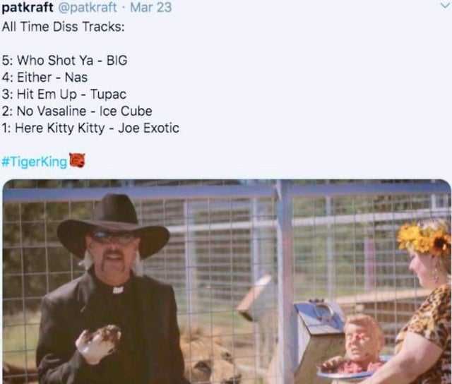 Tiger-Disss-Track Tiger King Memes Here Kitty Kitty
