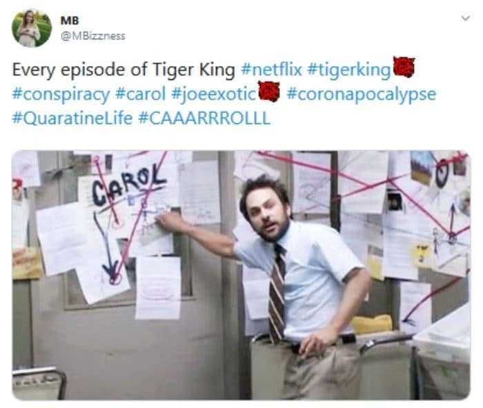Tiger-Every-Ep Tiger King Memes Comes Down To Carol