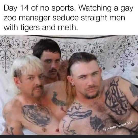 Tiger-Gay-Seduce Tiger King Memes When You Don'T Do Sports For 14 Days