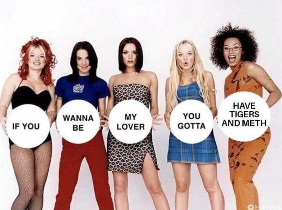Tiger-Love-Spice Tiger King Memes Spice Girls Meme