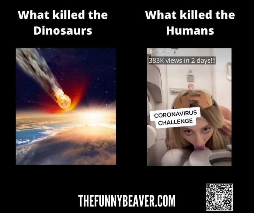 Tiktok-Star-Covid-Challenge Famous People Covid Memes Tiktok Coronavirus Challenge