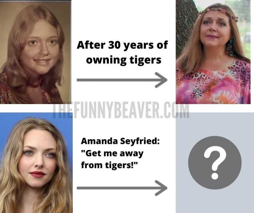 Carole-Baskin-Meme-Amanda-Seyfried Joe Exotic Memes Amanda Seyfried Looks Like Carole Baskin