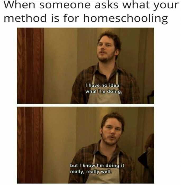 How To Homeschool Like A Boss Homeschooling Memes How To Homeschool Like A Boss