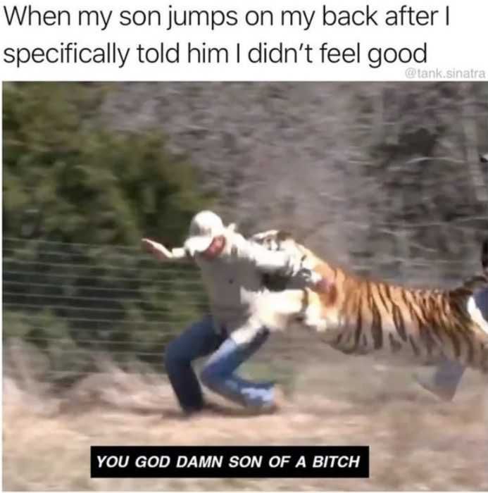 When Son Jumps On My Back When I Told Him I Don'T Feel Good Homeschooling Meme When Son Jumps On My Back When I Told Him I Don'T Feel Good