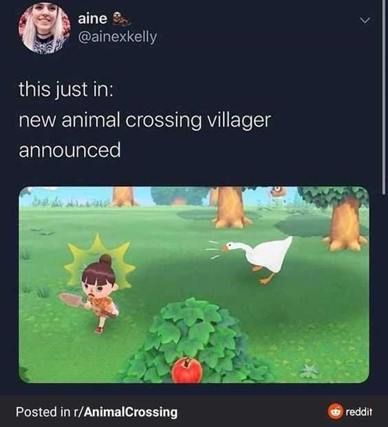 Ac-Goose Ac Goose