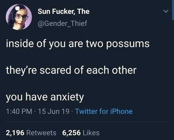 Anxiety-Two-Possums Anxiety Two Possums