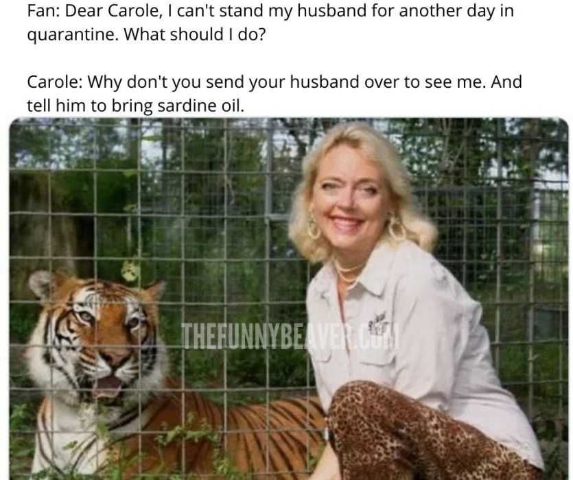 Carole-Baskins-Meme-Fan-Cant-Stand-Seeing-Husband-For-Another-Day-In-Quarantine Carole Baskin Memes Joke About Carole Baskin Giving Relationship Advice During Covid19 Pandemic