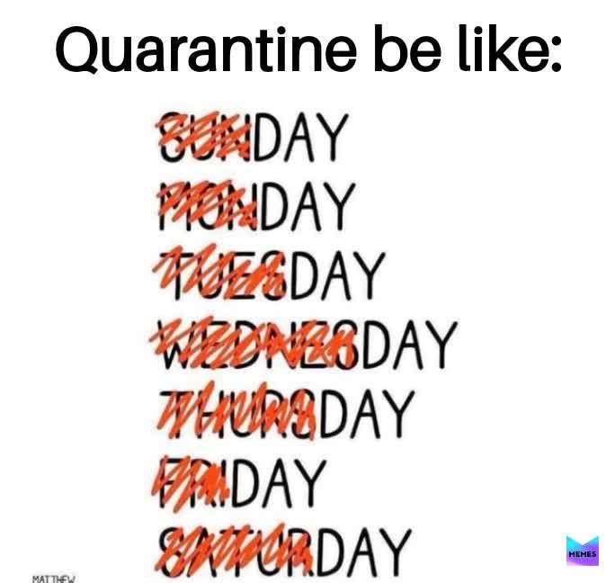 Day-Day Day Day