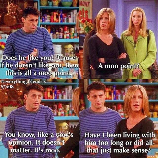 Friends-Moo-Point Friends Moo Point