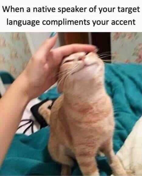 Funny-Native-Speaker Funny Native Speaker