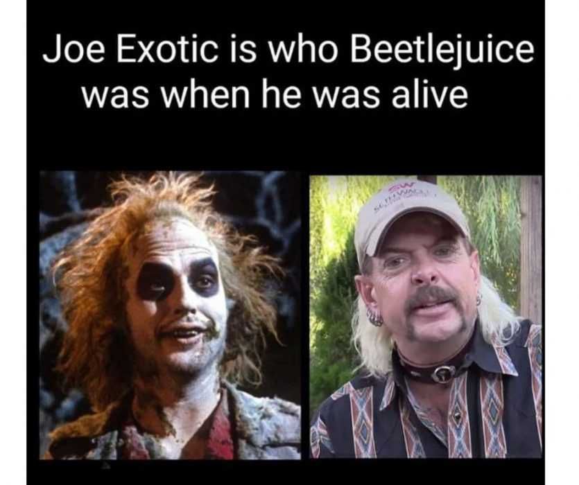 Joe-Exotic-Meme-Beetlejuice Joe Exotic Memes Joe Exotic Looks Just Like Bettlejuice