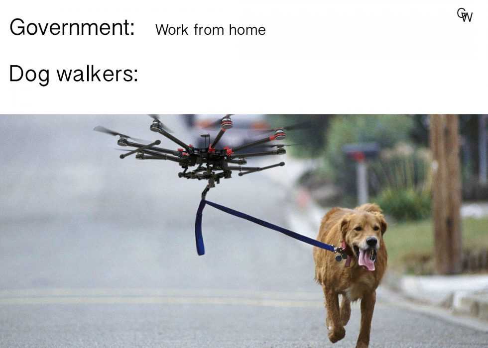 Funny Quarantine Memes  Joining The Tech Boom