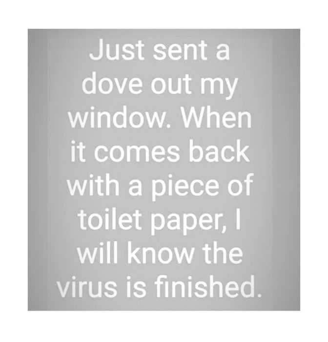 Funny Quarantine Memes  Modern Day Noah's Ark