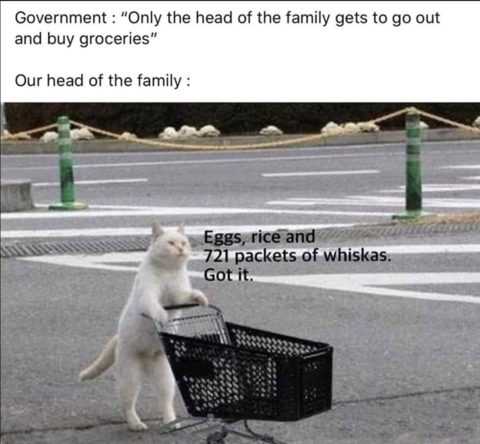 Funny Quarantine Memes  Grabbing Essentials