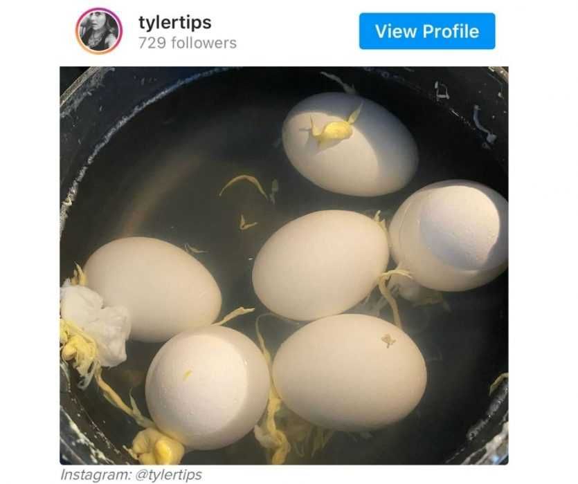 Work-From-Home-Fail-13 Work From Home Fails Boiling Eggs While Working From Home 2