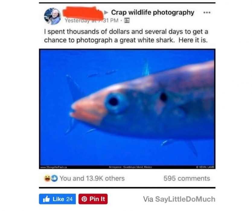 Worry-For-Humanity-Life-Fails-11 Worry For Humanity Life Fails Fish For Brains