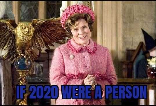 2020-Dolores 2020 Memes If 2020 Were A Person
