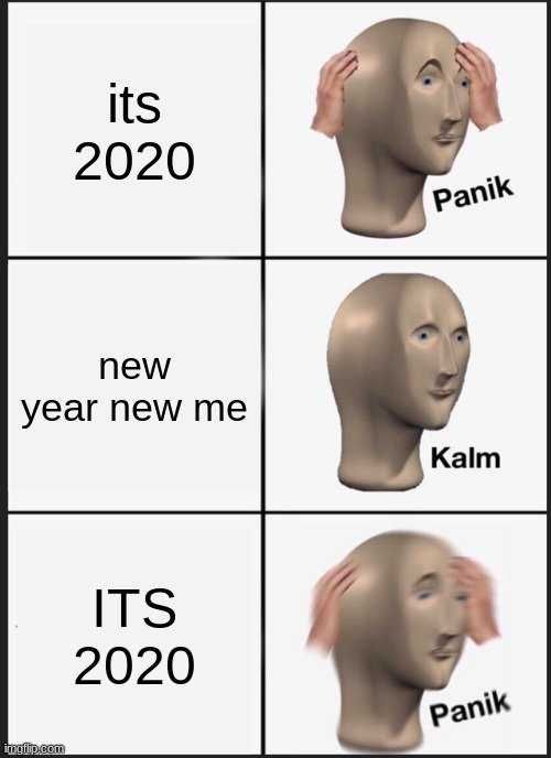 2020-New-Me 2020 Memes 2020 Meme Depicting New Year Resolution
