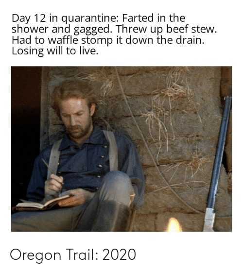 2020 Memes  2020 Meme Depicting Oregon Trail 2020
