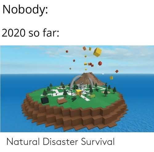 2020-So-Far-Natural 2020 Memes 2020 Meme Depicting Natural Disaster Survival