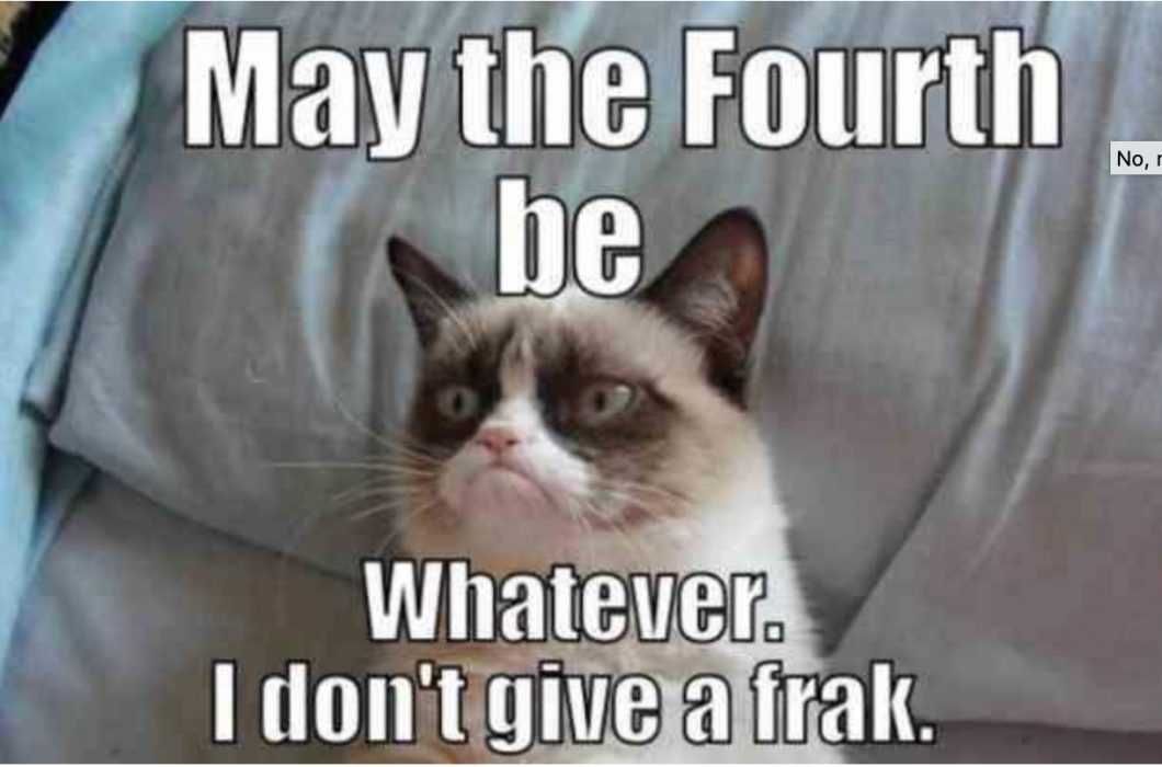 Screen-Shot-2020-05-04-At-12.59.20-Pm Star Wars Day Memes May The 4Th Be With You Memes What Everyone And Animal Thinks On This Day