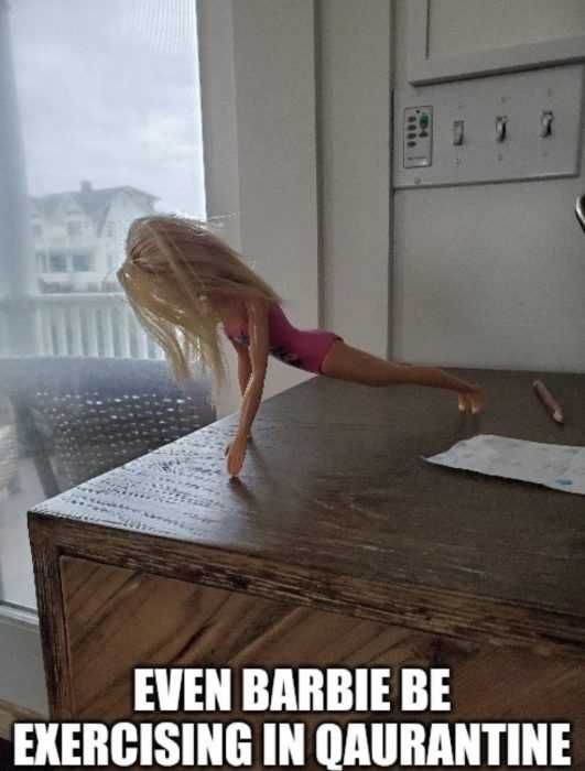 Barbie-Home-Fitness-Meme Barbie Home Fitness Meme
