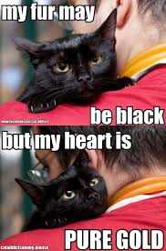 Cat Pure Gold