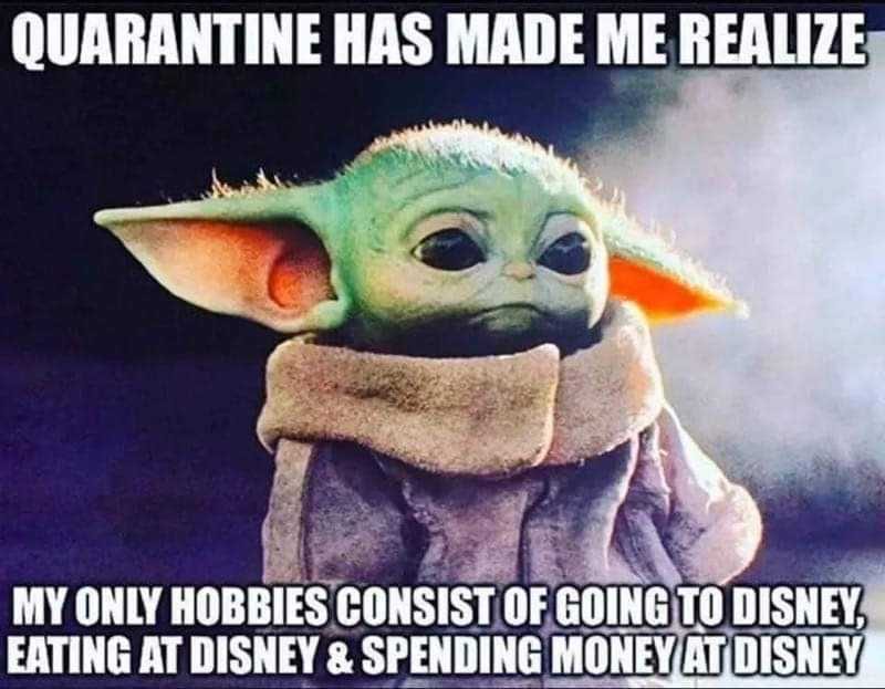 Disney Quarantine